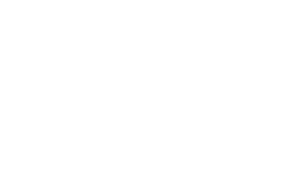 ZIM/TMG